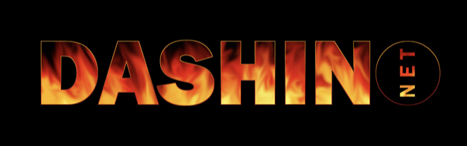 Dashin Networks